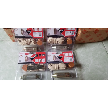 Quả dọi Rubi nặng 600 gram